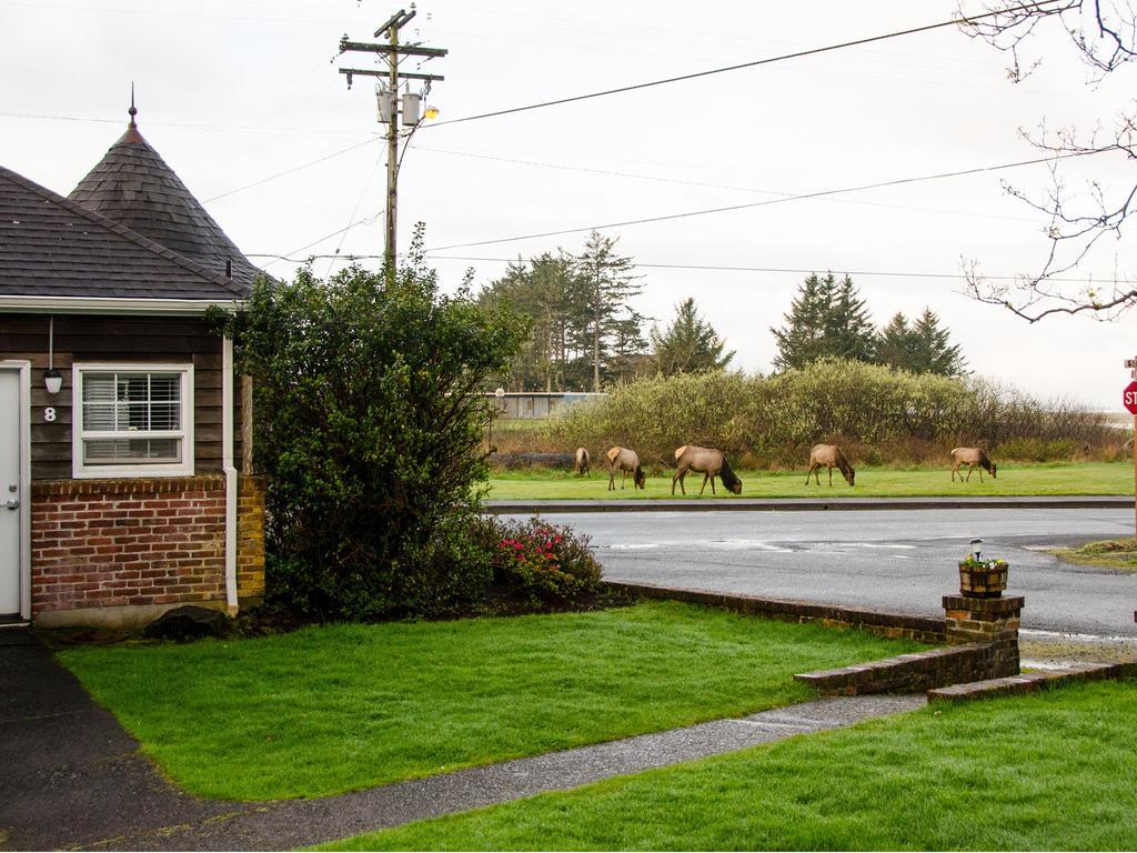 Ecola Creek Lodge Cannon Beach Eksteriør bilde
