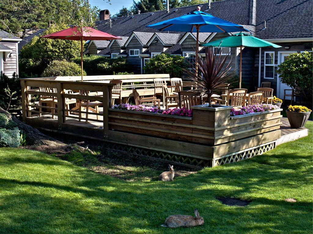 Ecola Creek Lodge Cannon Beach Eksteriør bilde